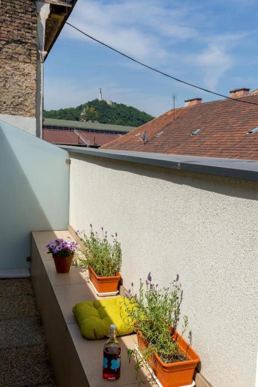 Erkel Rooftop Suites Budapeşte Dış mekan fotoğraf