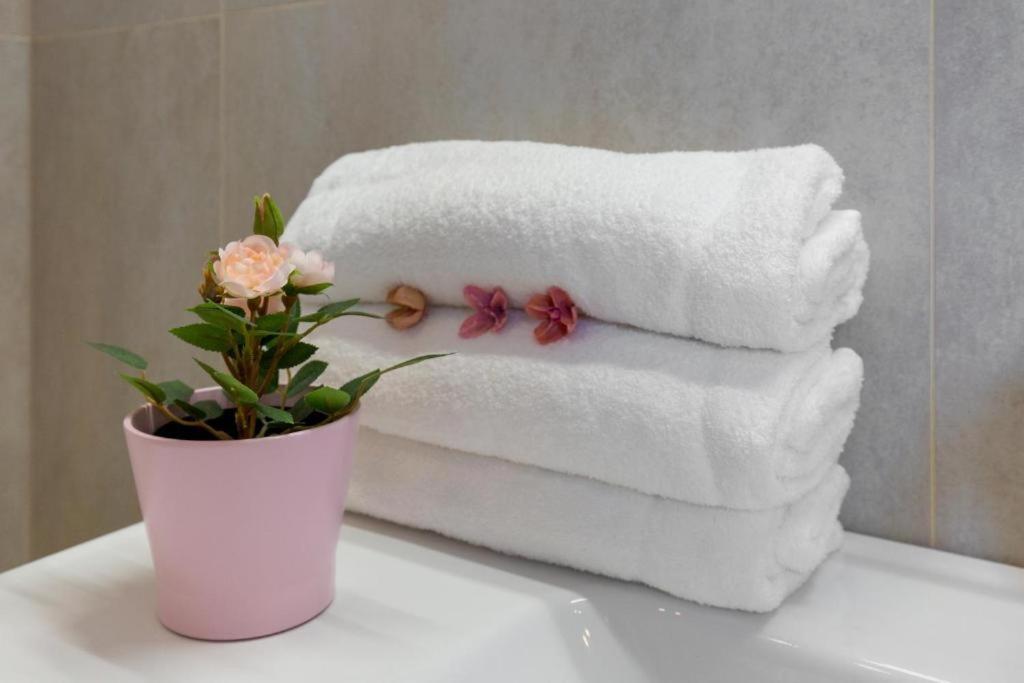 Erkel Rooftop Suites Budapeşte Dış mekan fotoğraf